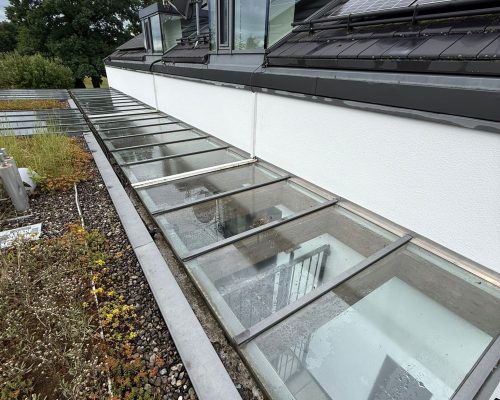 Glasdachreinigung