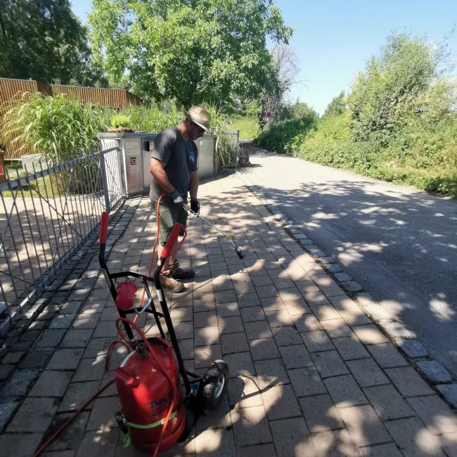 PHOTO-2025-06-25-18-36-38 2